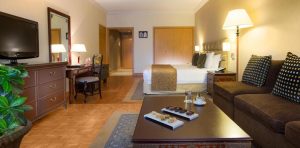 Millenium Plaza Downtown