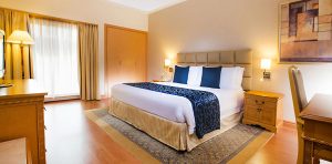 Millenium Plaza Downtown