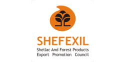 shefexil-logo